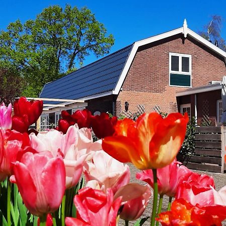 B&B De Hoffstal Sassenheim Zewnętrze zdjęcie